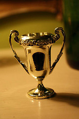 Bring Home The Blog For Writers Trophy