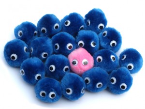 blue fuzzy bugs and one pink one
