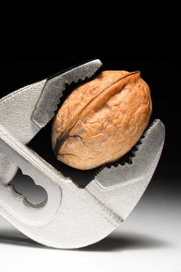 Pliers cracking a walnut