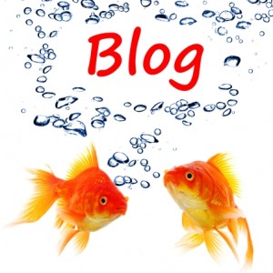 Goldfish think of blogging