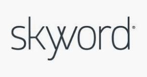 Digital Marketing Agency: Skyword