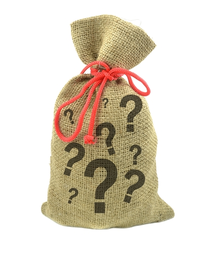 photodune-3393975-money-bag-with-question-marks-xs